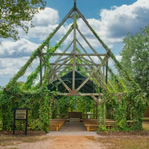 texas-renaissance-weddings