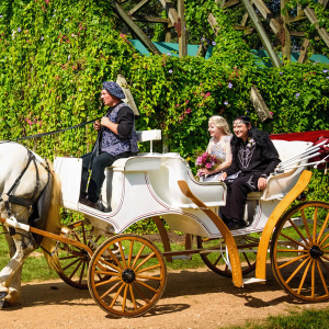 texas-renaissance-weddings